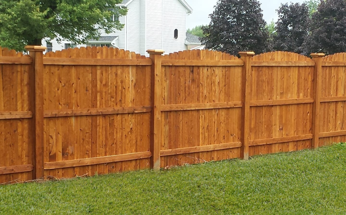 Cedar Elegance